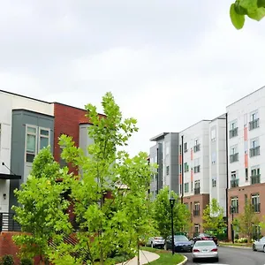  Apartment Modern 1bd Studio Apt In Plaza Midwood With Community Pool United States